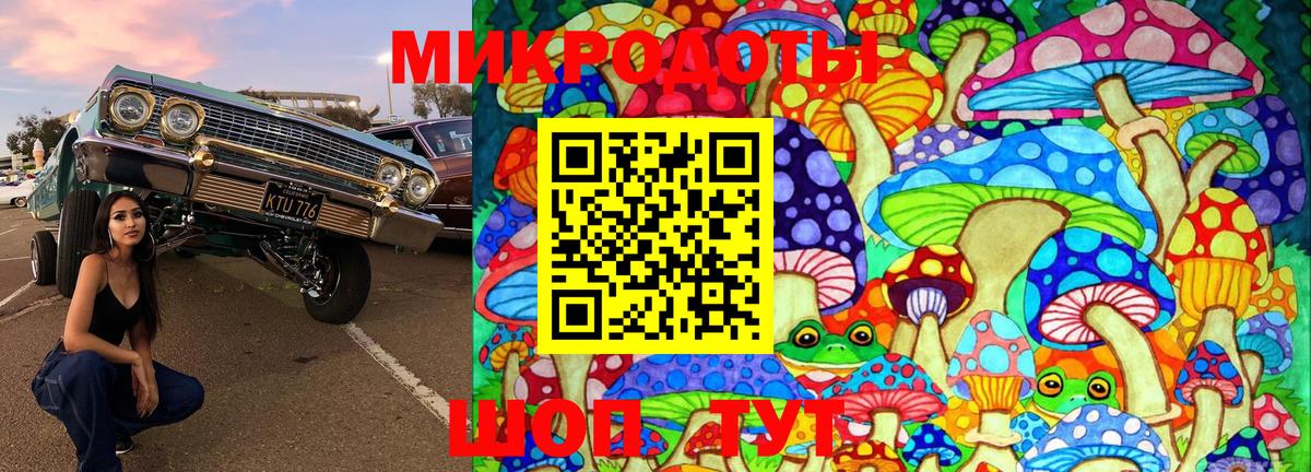 Волгодонск  Псилоцибиновые грибы Psilocybe  Вход с VPN  купить закладку  Галлюциногенные грибы MAGIC MUSHROOMS 